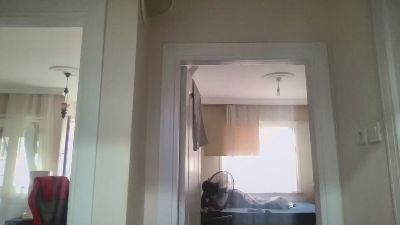 ANDREX1X