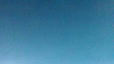 BIRDY1383 Live Image