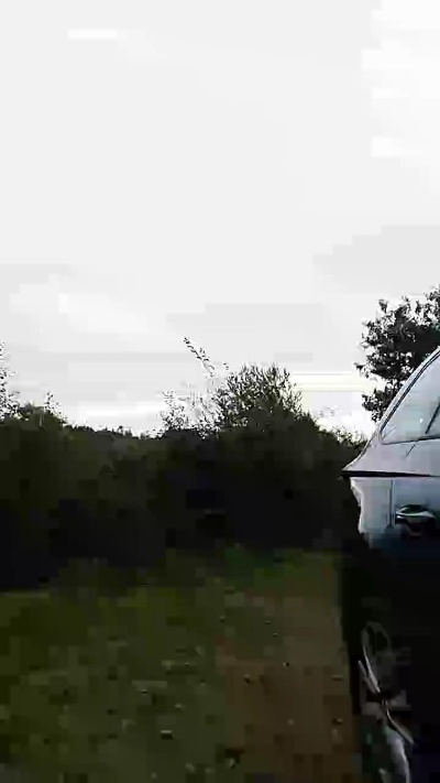 Exhibsud56 Live Image