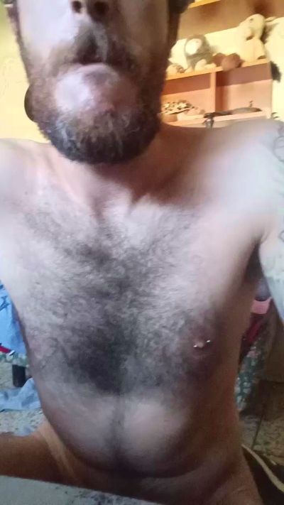 Sigaz88 Live Image