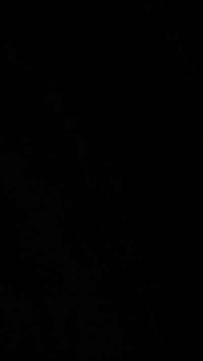 alessandravite1 Live Image