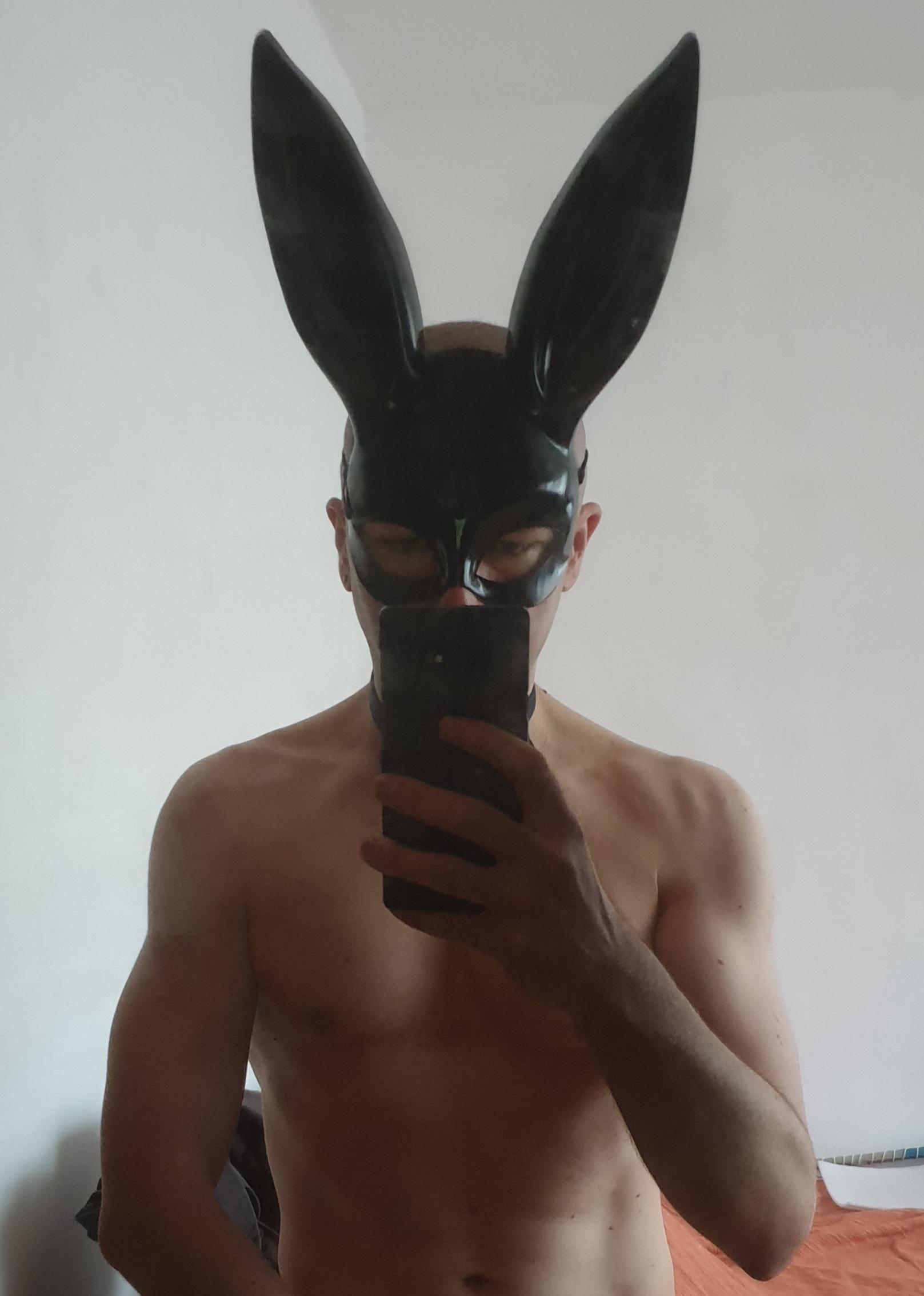 bunny__boy