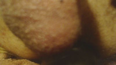 buttstufferx5 Live Image