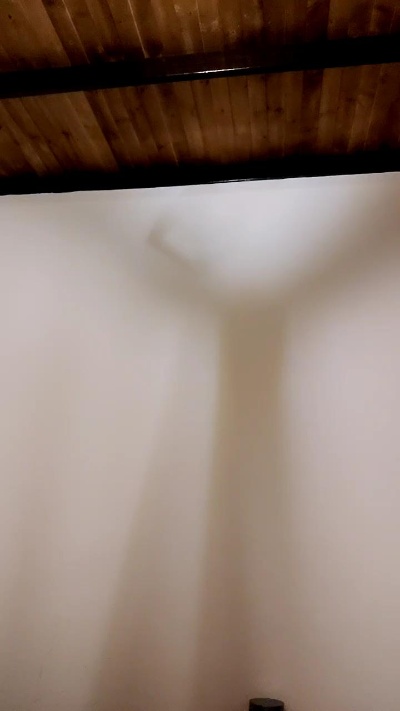saray_honey Live Image