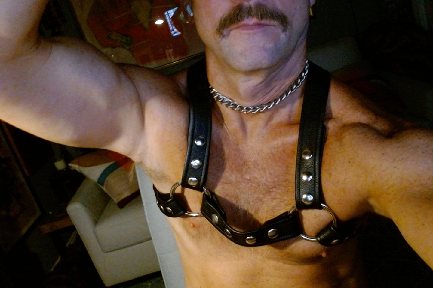 seatex Live Image