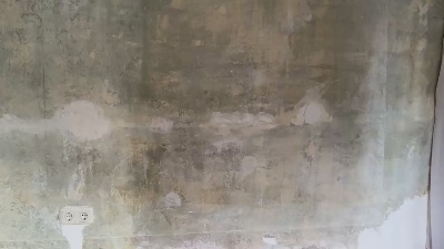 swotterFF Live Image