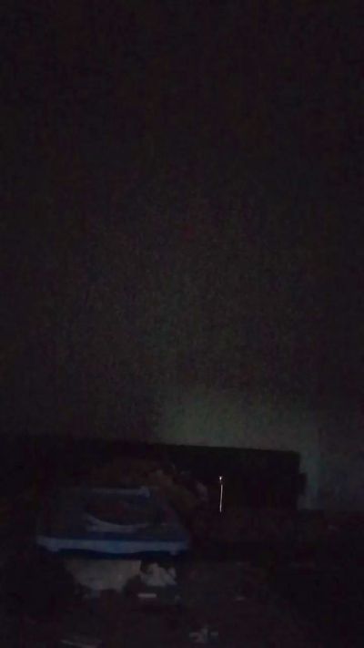 vogliaporcellin Live Image