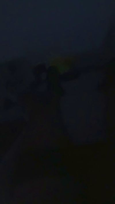 xulo40 Live Image