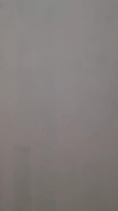 Sarinhaborges live from Brazil