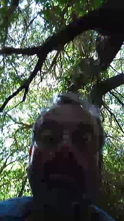 bitebonbec2 live from France