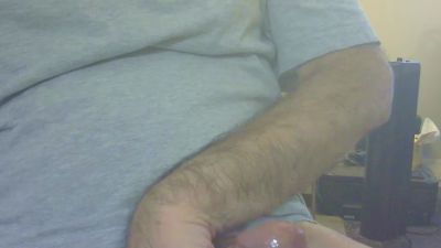 don_quixote2 live from United States