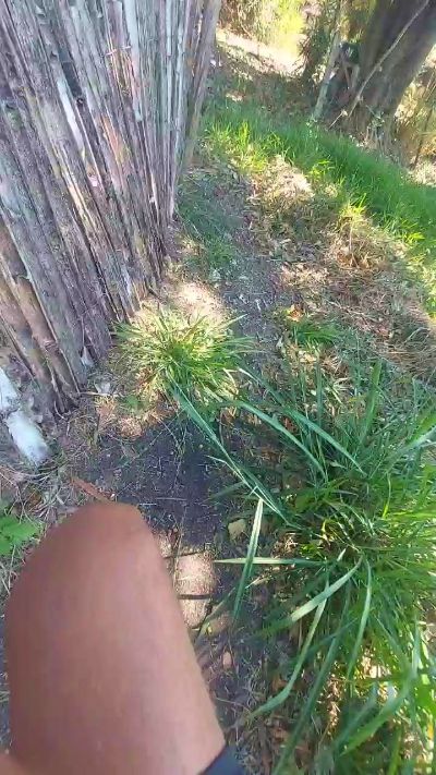jao_magrao live from Brazil