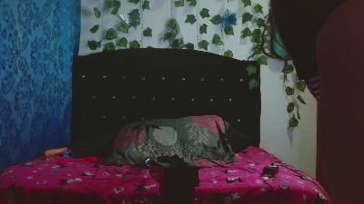 pink_cacti live from Colombia